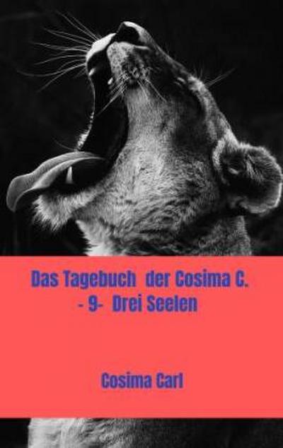 Das Tagebuch  der Cosima C. - 9-  Drei Seelen