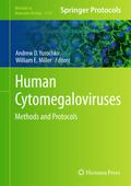 Human Cytomegaloviruses