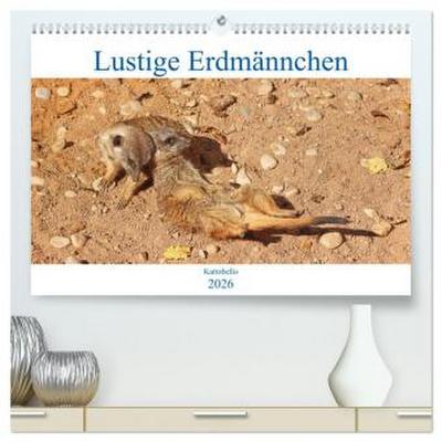 Lustige Erdmännchen (hochwertiger Premium Wandkalender 2026 DIN A2 quer), Kunstdruck in Hochglanz