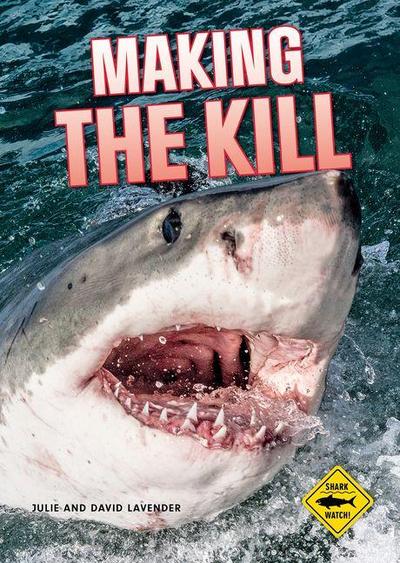Shark Watch!: Making the Kill