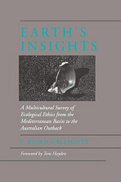 Earth’s Insights