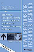Big Picture Pedagogy