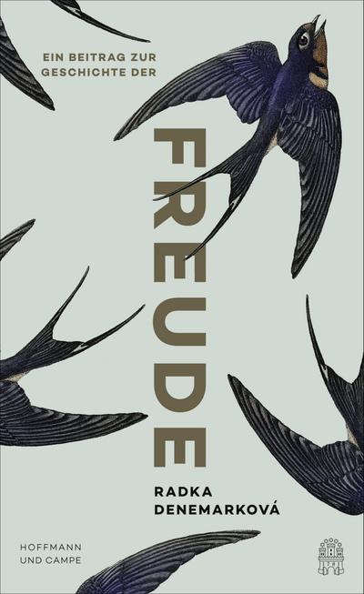 Ein Beitrag zur Geschichte der Freude (eBook, EPUB) - Radka Denemarková