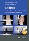Schäden im Metallbau 6 - Grenzfälle-Buch