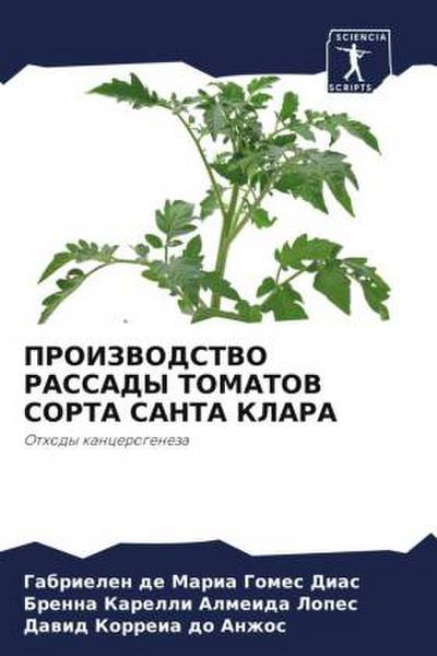 PROIZVODSTVO RASSADY TOMATOV SORTA SANTA KLARA