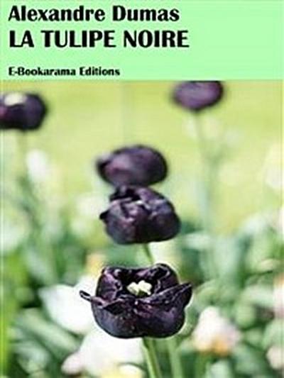 La Tulipe noire