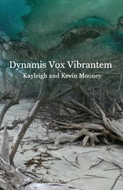 Dynamis Vox Vibrantem