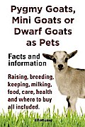 Pygmy Goats as Pets. Pygmy Goats, Mini Goats or Dwarf Goats