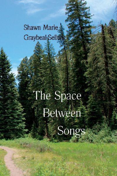 The Space Between Songs