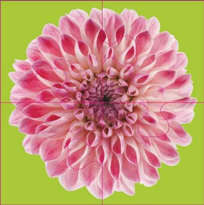 Das "Gelingt-immer"-Puzzle Blumen. Das Puzzle-Spiel für Senioren mit Demenz