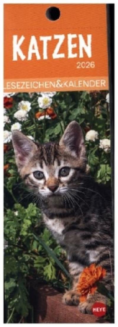 Katzen Lesezeichen & Kalender 2026