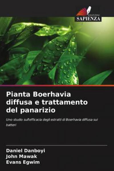 Pianta Boerhavia diffusa e trattamento del panarizio