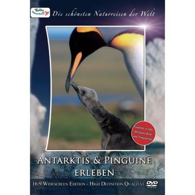 Antarktis & Pinguine erleben, 1 DVD