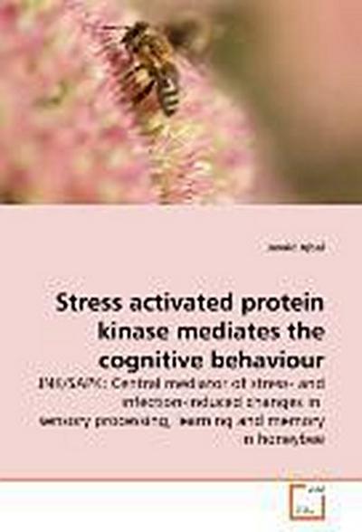 Stress activated protein kinase mediates the cognitive behaviour
