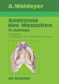 Waldeyer - Anatomie des Menschen von Anton Johannes Waldeyer | Ebook