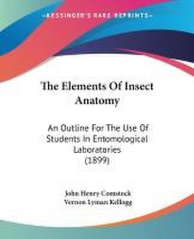 The Elements Of Insect Anatomy