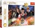 Harry Potter (Puzzle)