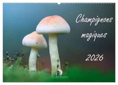 Champignons magiques (Calendrier mural 2026 DIN A2 vertical), CALVENDO calendrier mensuel