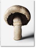 The Gourmand’s Mushroom