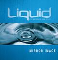 Mirror Image Participant’s Guide