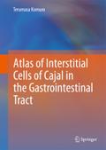 Atlas of Interstitial Cells of Cajal in the Gastrointestinal Tract by Terumasa Komuro Hardcover | Indigo Chapters