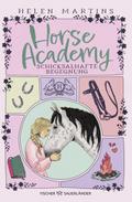 Horse Academy - Schicksalhafte Begegnung