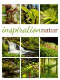 Inspiration Natur Kalender 2026