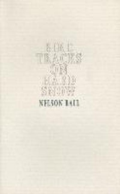 Bird Tracks on Hard Snow