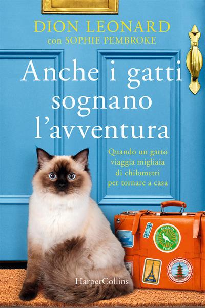 Anche i gatti sognano l’avventura