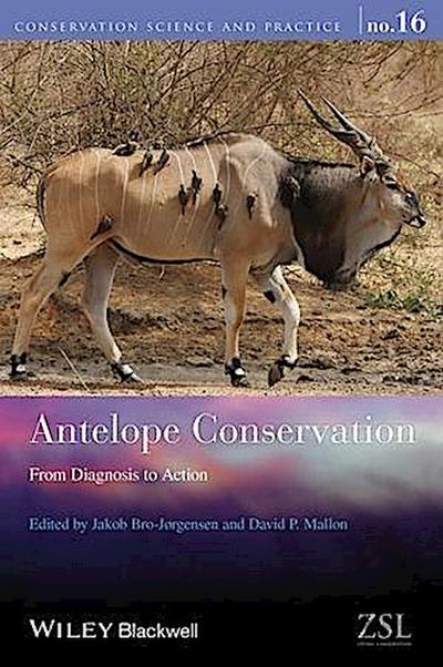 Antelope Conservation