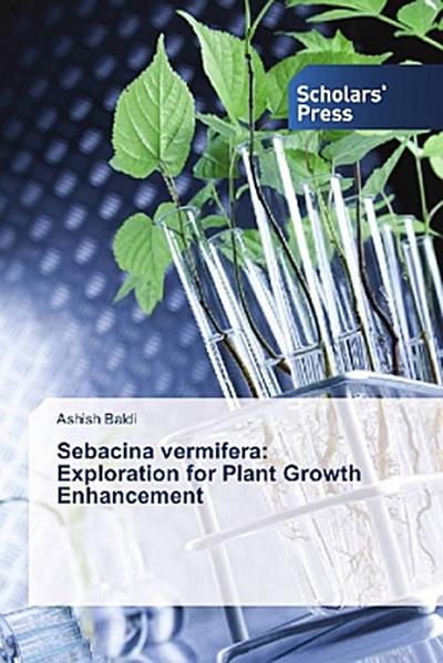 Sebacina vermifera: Exploration for Plant Growth Enhancement
