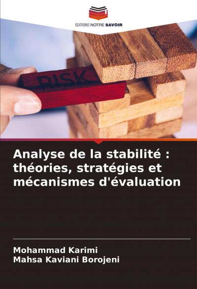 Analyse de la stabilité : théories, stratégies et mécanismes d’évaluation