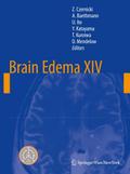Brain Edema XIV