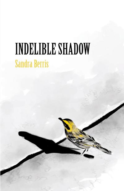 Indelible Shadow