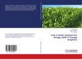 Line x tester analysis for forage yield in forage 