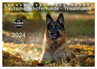 Deutsche Schäferhunde - Traumhunde (Tischkalender 2024 DIN A5 quer), CALVENDO Monatskalender