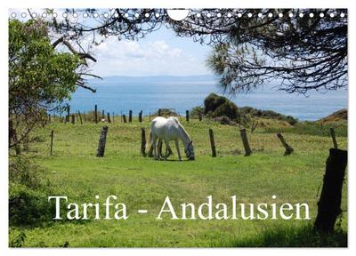 Tarifa - Andalusien (Wandkalender 2026 DIN A4 quer), CALVENDO Monatskalender