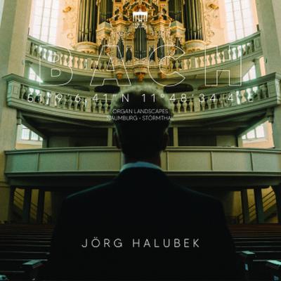 Bach:Organ Landscapes IX (Naumburg)