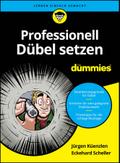 Professionell Dübel setzen für Dummies
