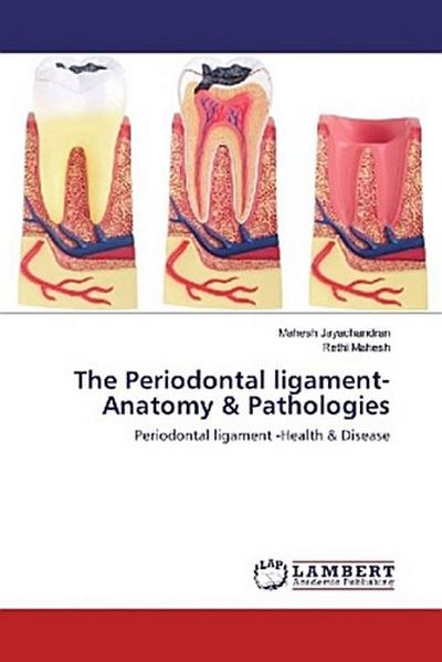 The Periodontal ligament- Anatomy & Pathologies