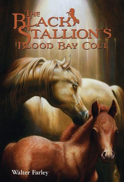 The Black Stallion’s Blood Bay Colt