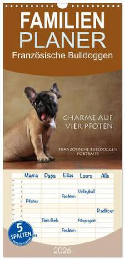 Familienplaner 2026 - Charme auf vier Pfoten - Französische Bulldoggen Portraits mit 5 Spalten (Wandkalender, 21 x 45 cm) CALVENDO