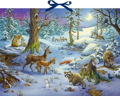 Sound-Adventskalender - Hört ihr die Tiere im Winterwald?