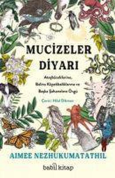 Mucizeler Diyari
