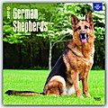 German Shepherds - Deutsche Schäferhunde 2017 - 18-Monatskalender mit freier DogDays-App