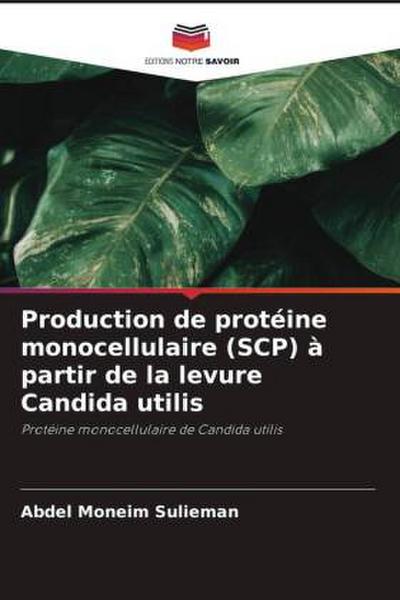 Production de protéine monocellulaire (SCP) à partir de la levure Candida utilis