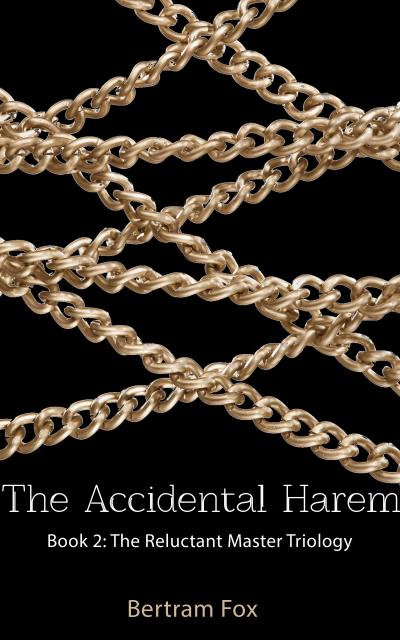 The Accidental Harem
