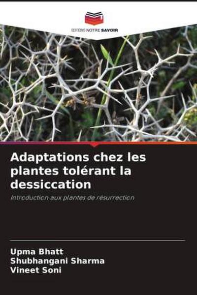 Adaptations chez les plantes tolérant la dessiccation