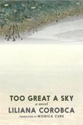 Too Great a Sky