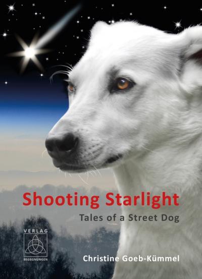 Shooting Starlight